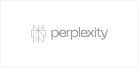 Perplexity